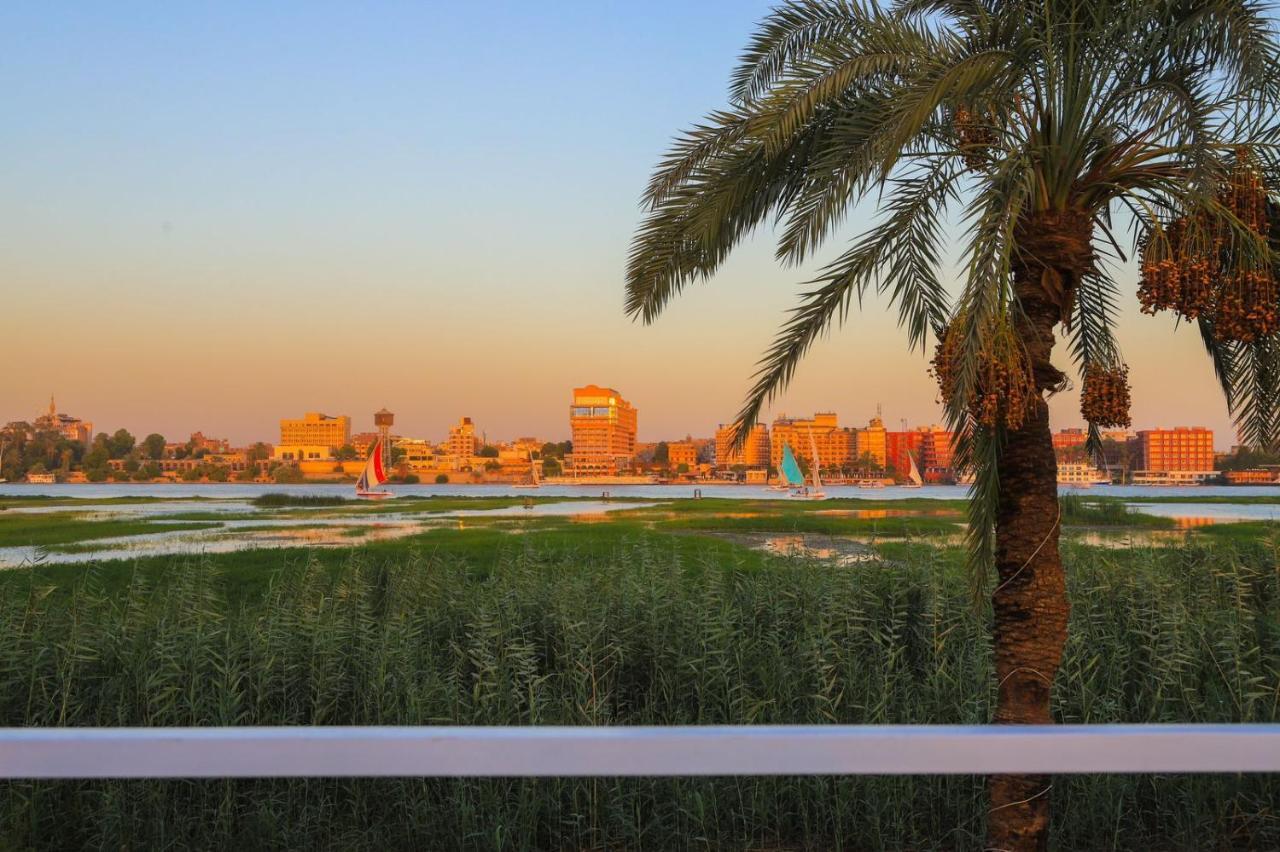 Royal Nile Villa - Pool View Apartment 1 Luxor Luaran gambar