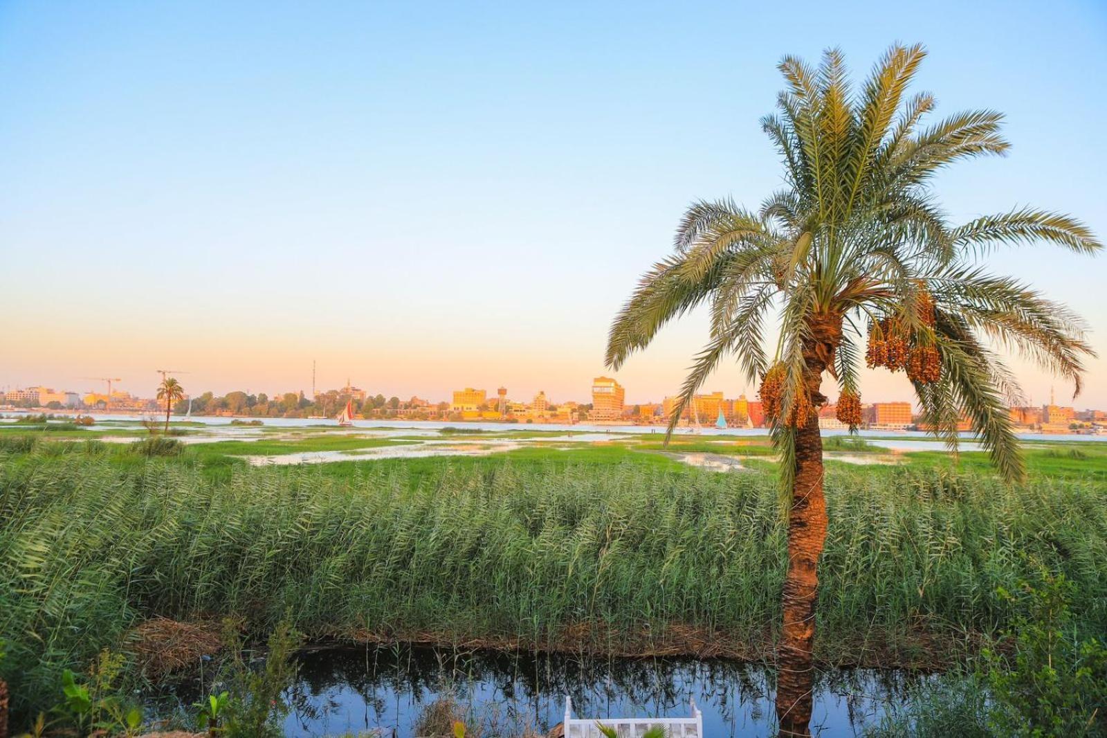 Royal Nile Villa - Pool View Apartment 1 Luxor Luaran gambar